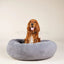 William Walker - Hondenbed Comfy Cloud