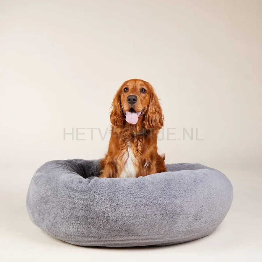 William Walker - Hondenbed Comfy Cloud