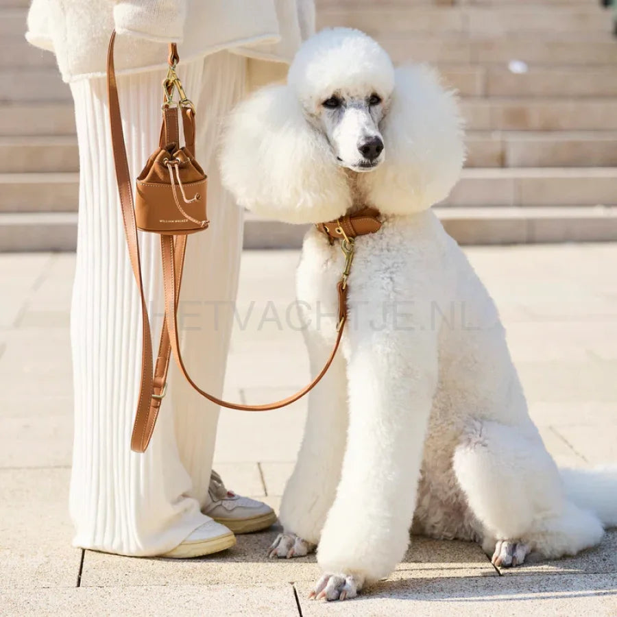 William Walker - Hoogwaardige hondenriem van glad leer Caramel