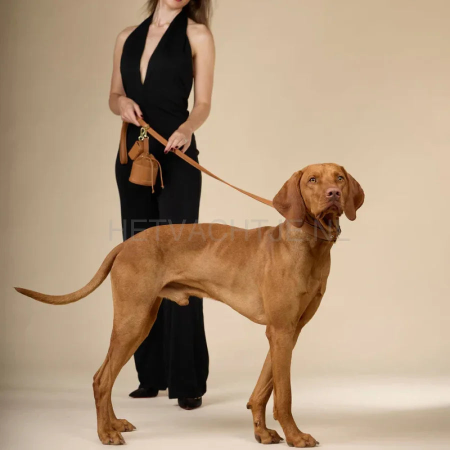 William Walker - Hoogwaardige hondenriem van glad leer Caramel