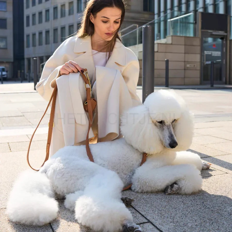 William Walker - Hoogwaardige hondenriem van glad leer Caramel