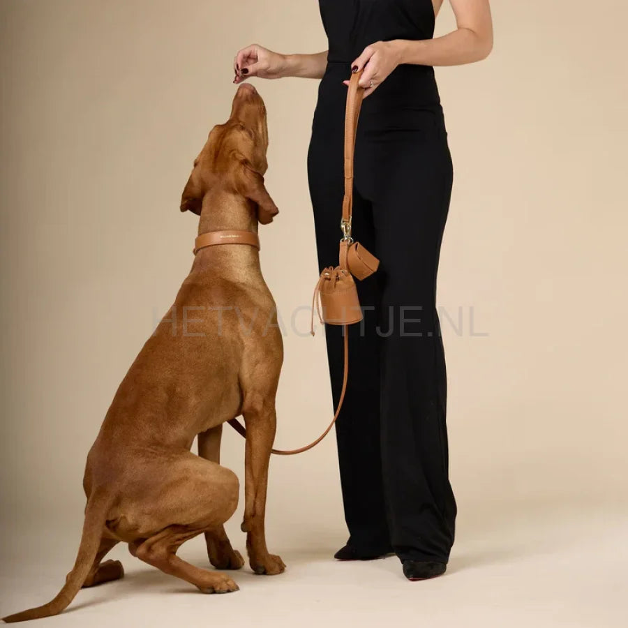 William Walker - Hoogwaardige hondenriem van glad leer Caramel