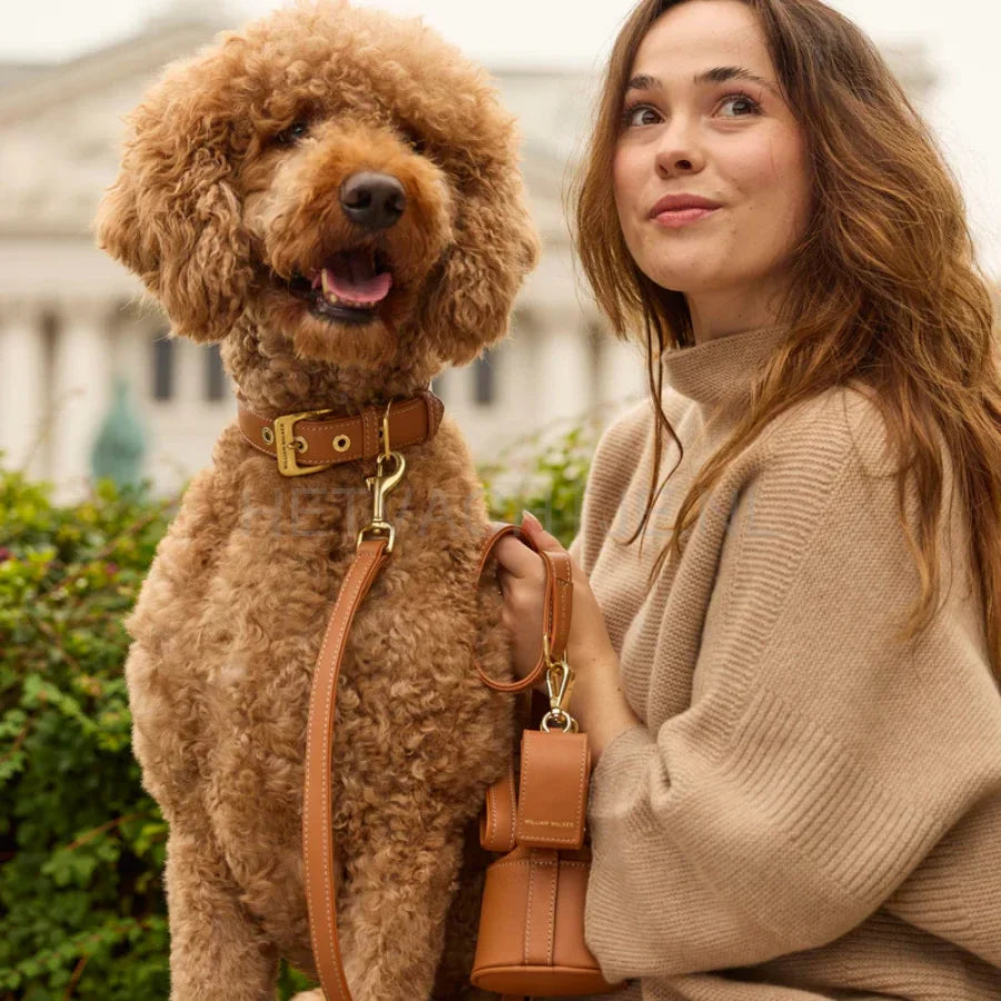 William Walker - Hoogwaardige hondenriem van glad leer Caramel