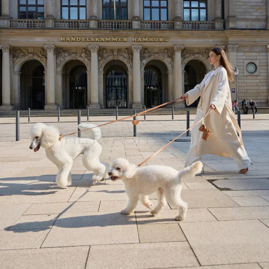 William Walker - Hoogwaardige hondenriem van glad leer Caramel
