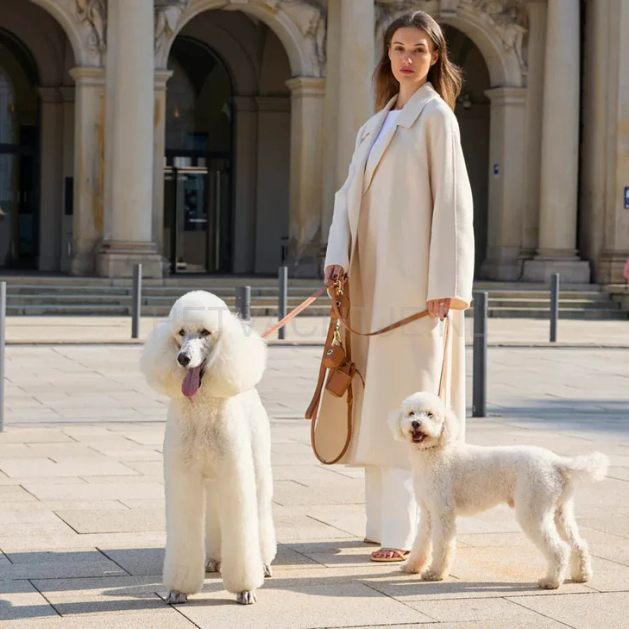 William Walker - Hoogwaardige hondenriem van glad leer Caramel