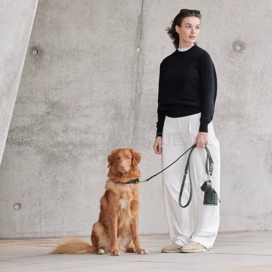 William Walker - Hoogwaardige lederen hondenriem Prestige Forest