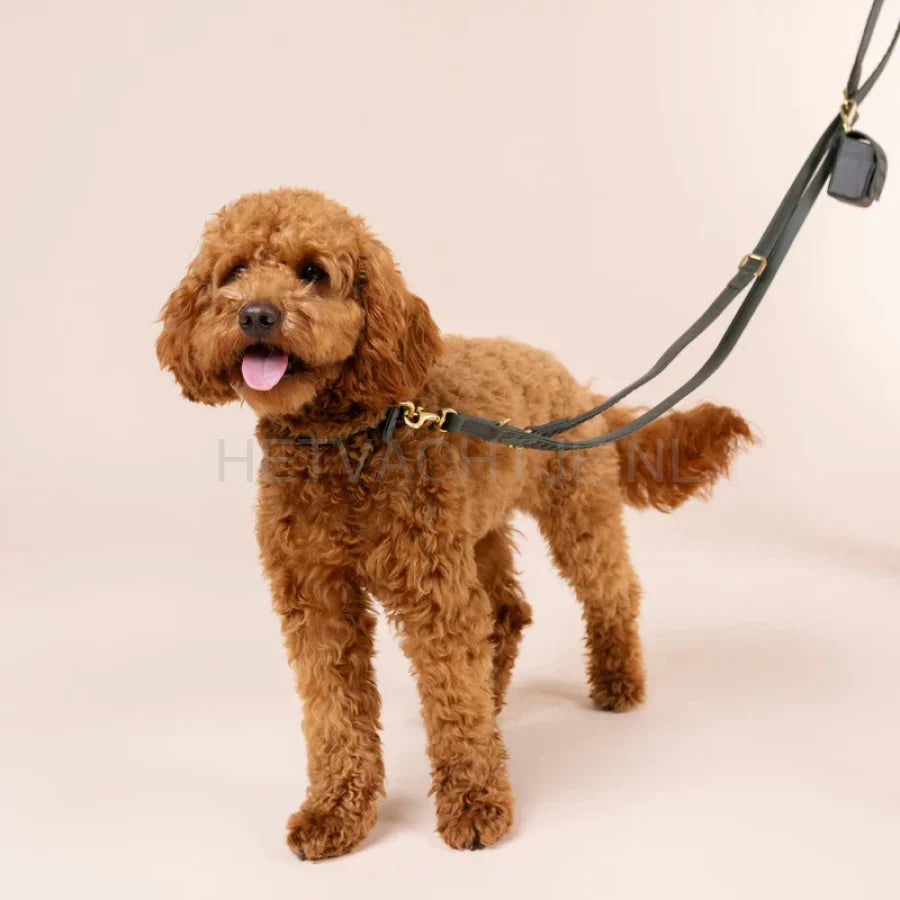 William Walker - Hoogwaardige lederen hondenriem Prestige Forest