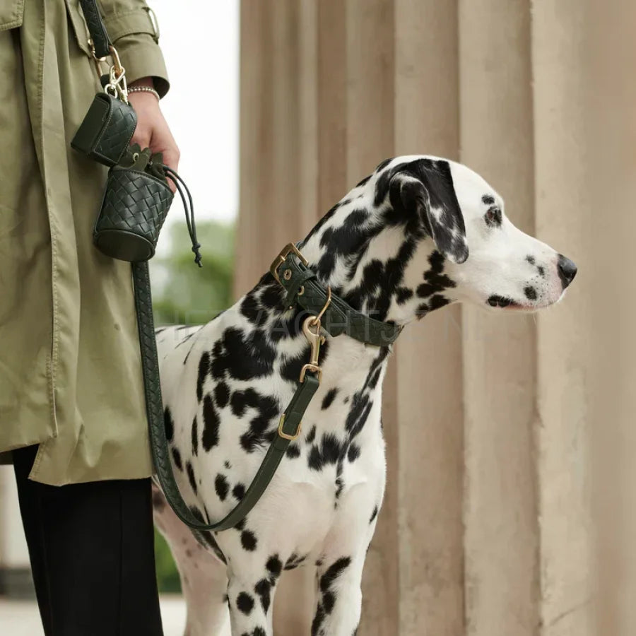 William Walker - Hoogwaardige lederen hondenriem Prestige Forest