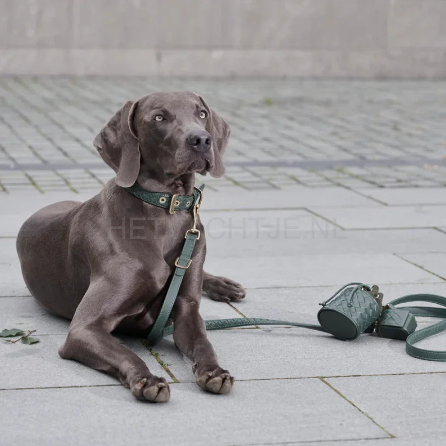 William Walker - Hoogwaardige lederen hondenriem Prestige Forest