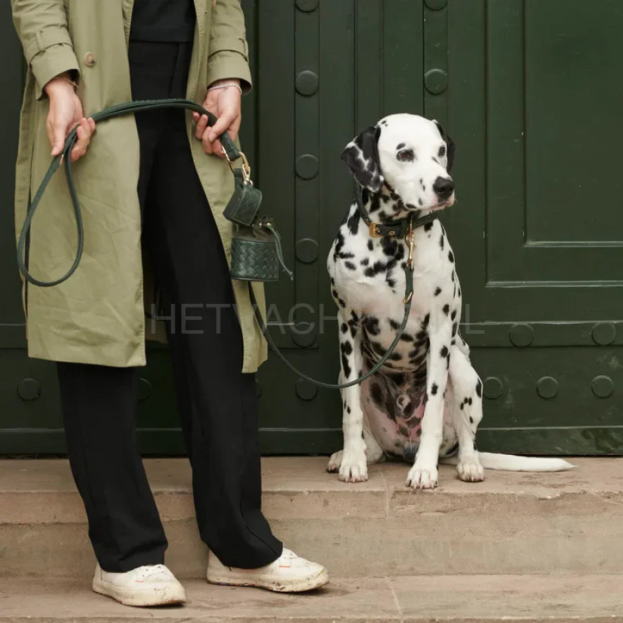 William Walker - Hoogwaardige lederen hondenriem Prestige Forest