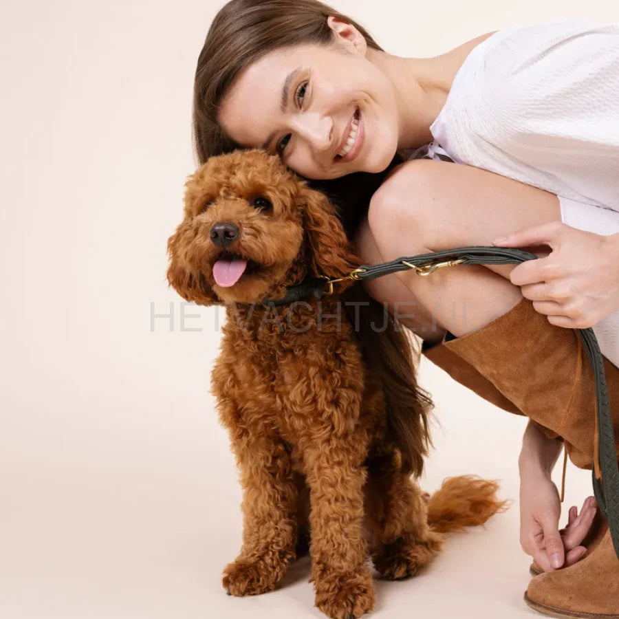 William Walker - Hoogwaardige lederen hondenriem Prestige Forest