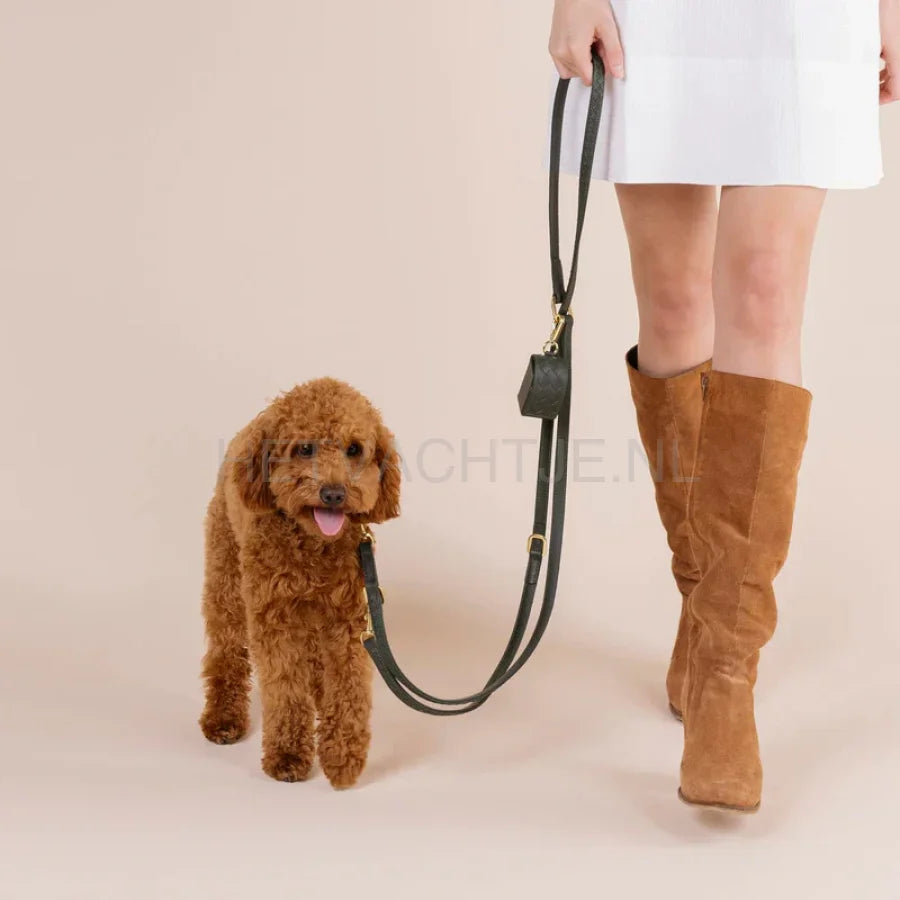 William Walker - Hoogwaardige lederen hondenriem Prestige Forest