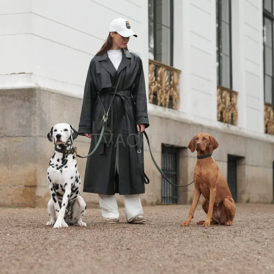 William Walker - Hoogwaardige lederen hondenriem Prestige Forest