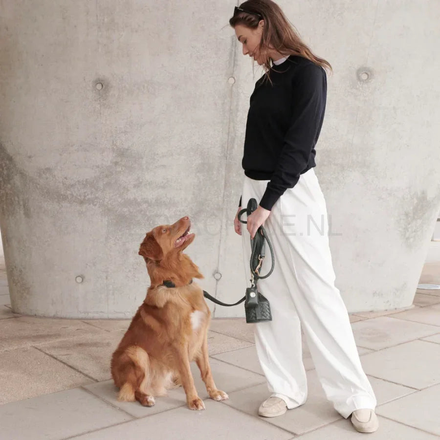 William Walker - Hoogwaardige lederen hondenriem Prestige Forest