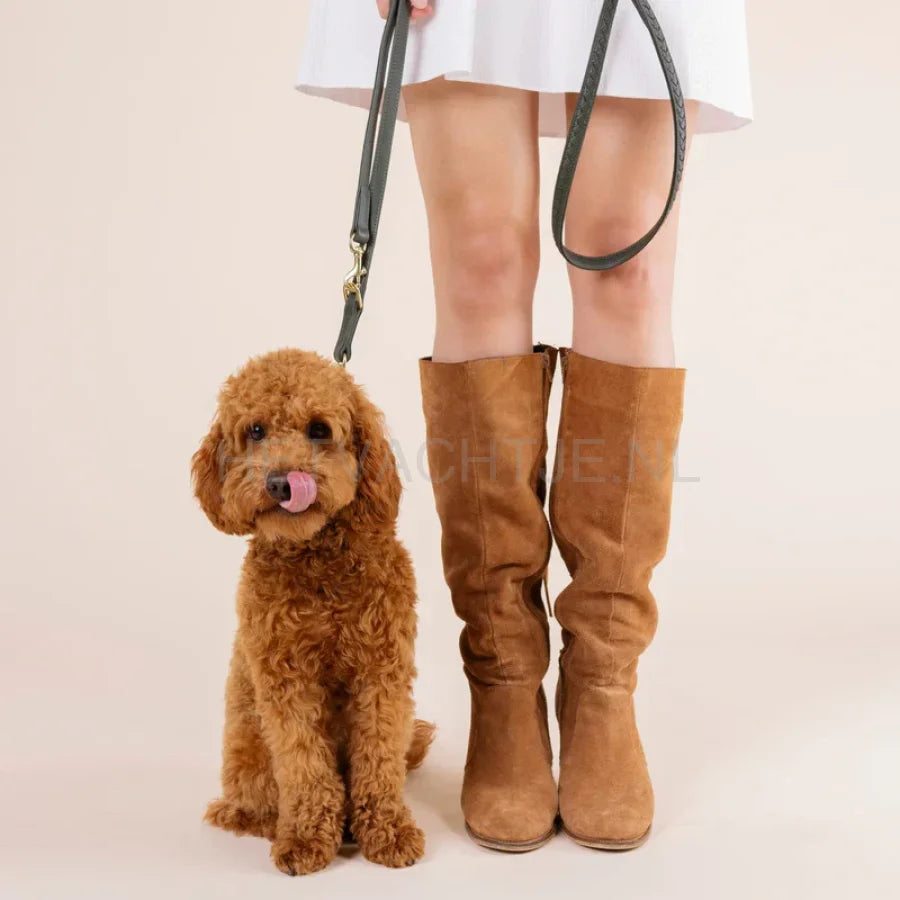 William Walker - Hoogwaardige lederen hondenriem Prestige Forest