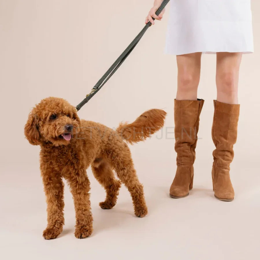 William Walker - Hoogwaardige lederen hondenriem Prestige Forest