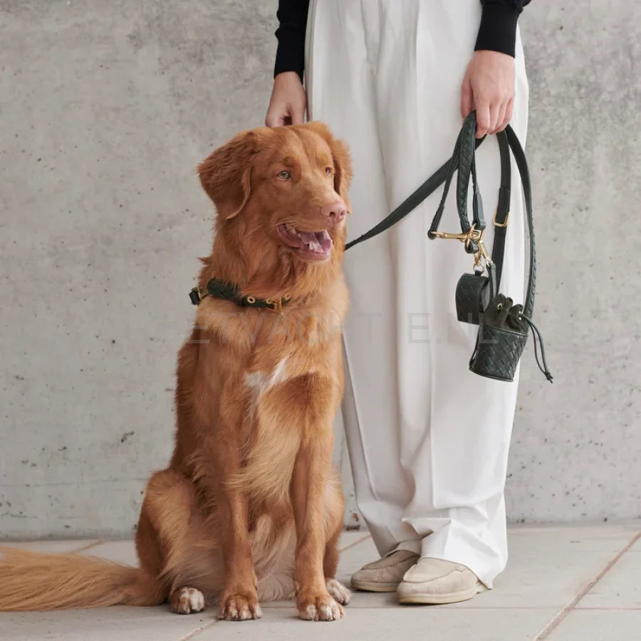 William Walker - Hoogwaardige lederen hondenriem Prestige Forest