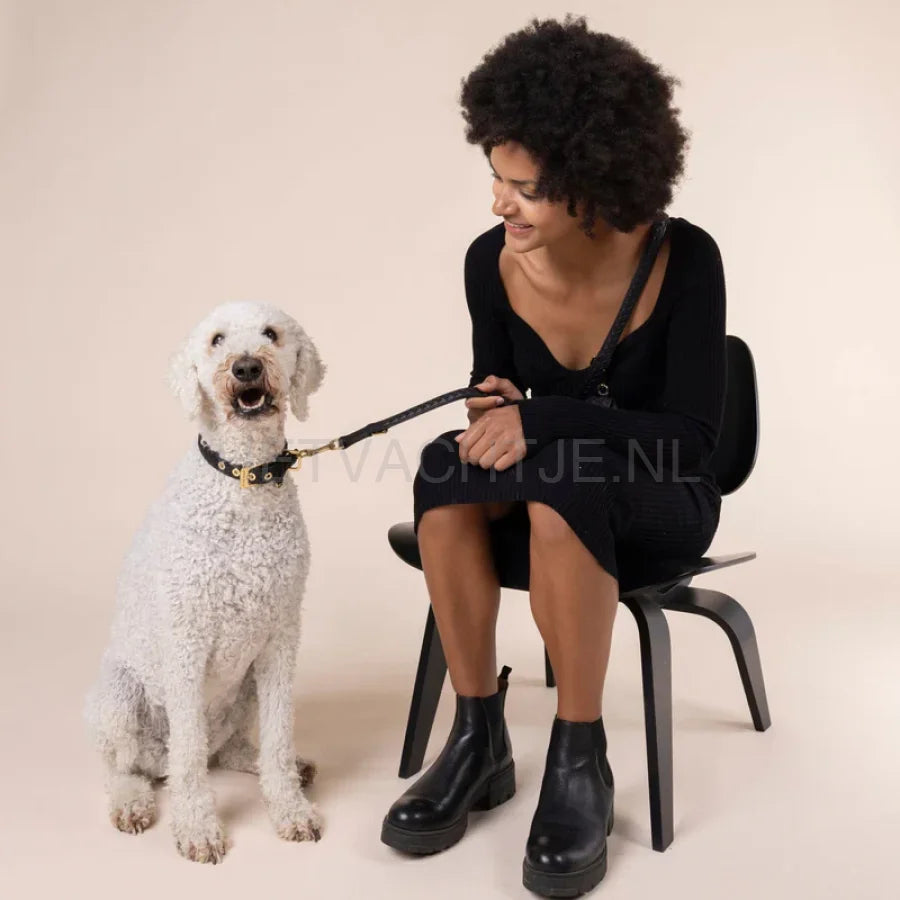 William Walker - Hoogwaardige lederen hondenriem Prestige Nero