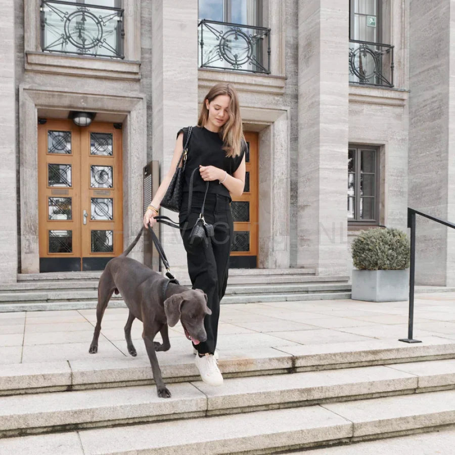 William Walker - Hoogwaardige lederen hondenriem Prestige Nero