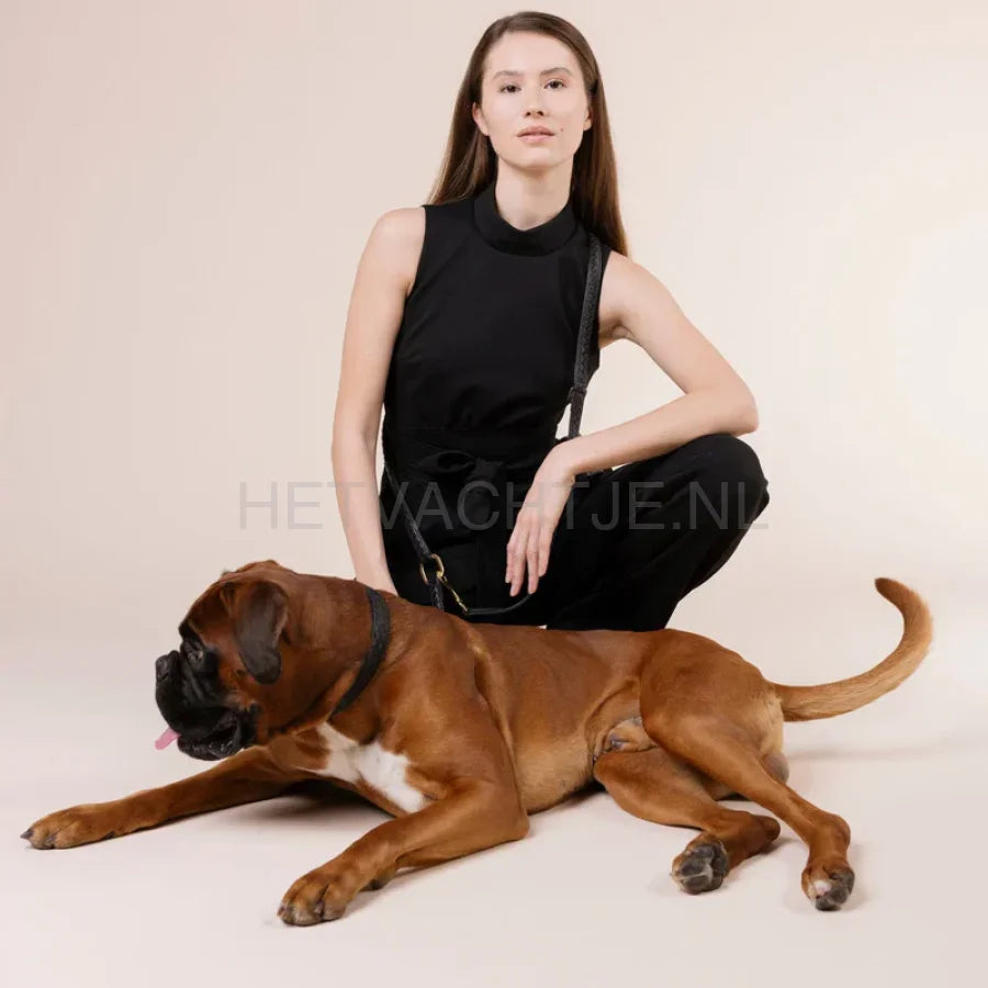 William Walker - Hoogwaardige lederen hondenriem Prestige Nero