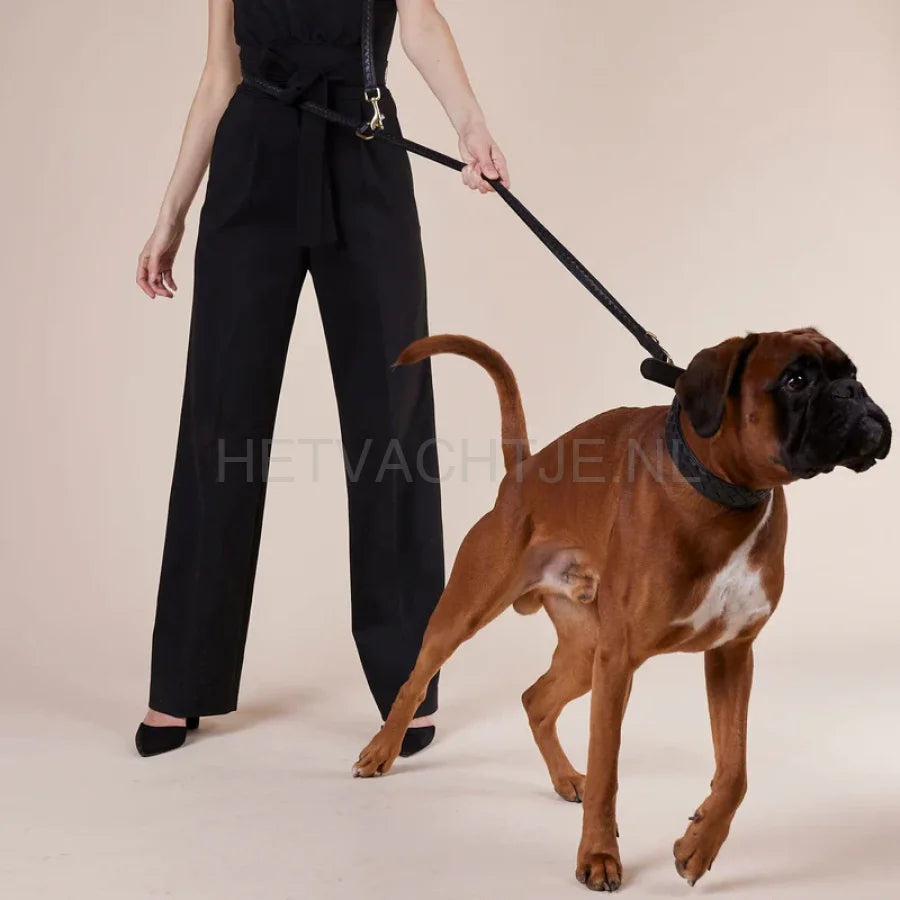 William Walker - Hoogwaardige lederen hondenriem Prestige Nero