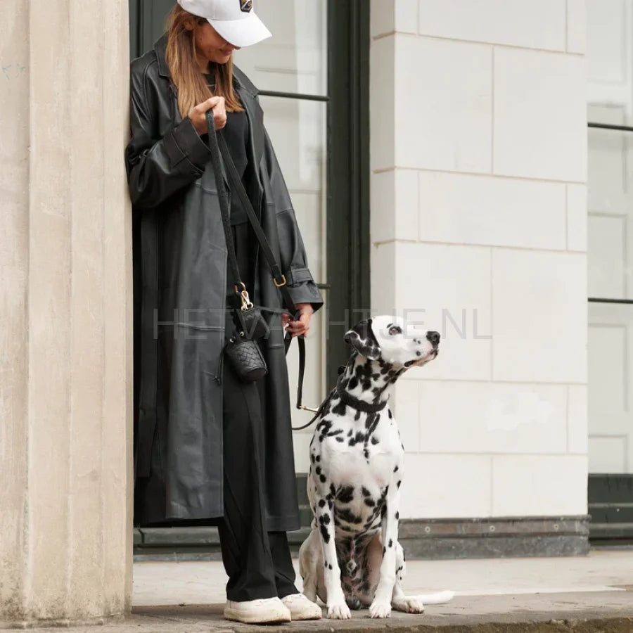 William Walker - Hoogwaardige lederen hondenriem Prestige Nero