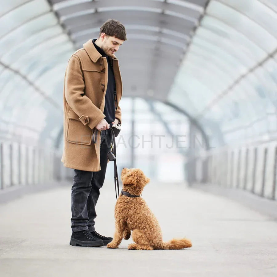 William Walker - Hoogwaardige leren hondenriem Aarde