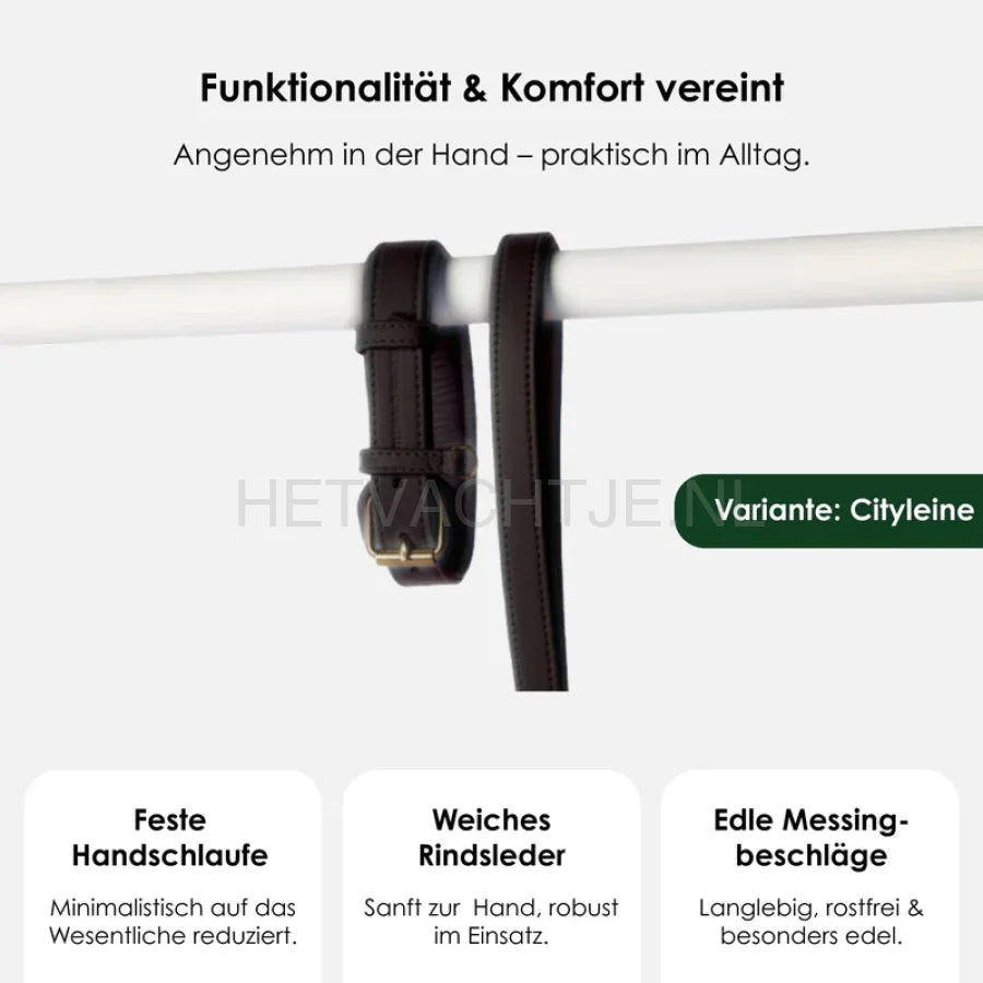 William Walker - Hoogwaardige leren hondenriem Aarde