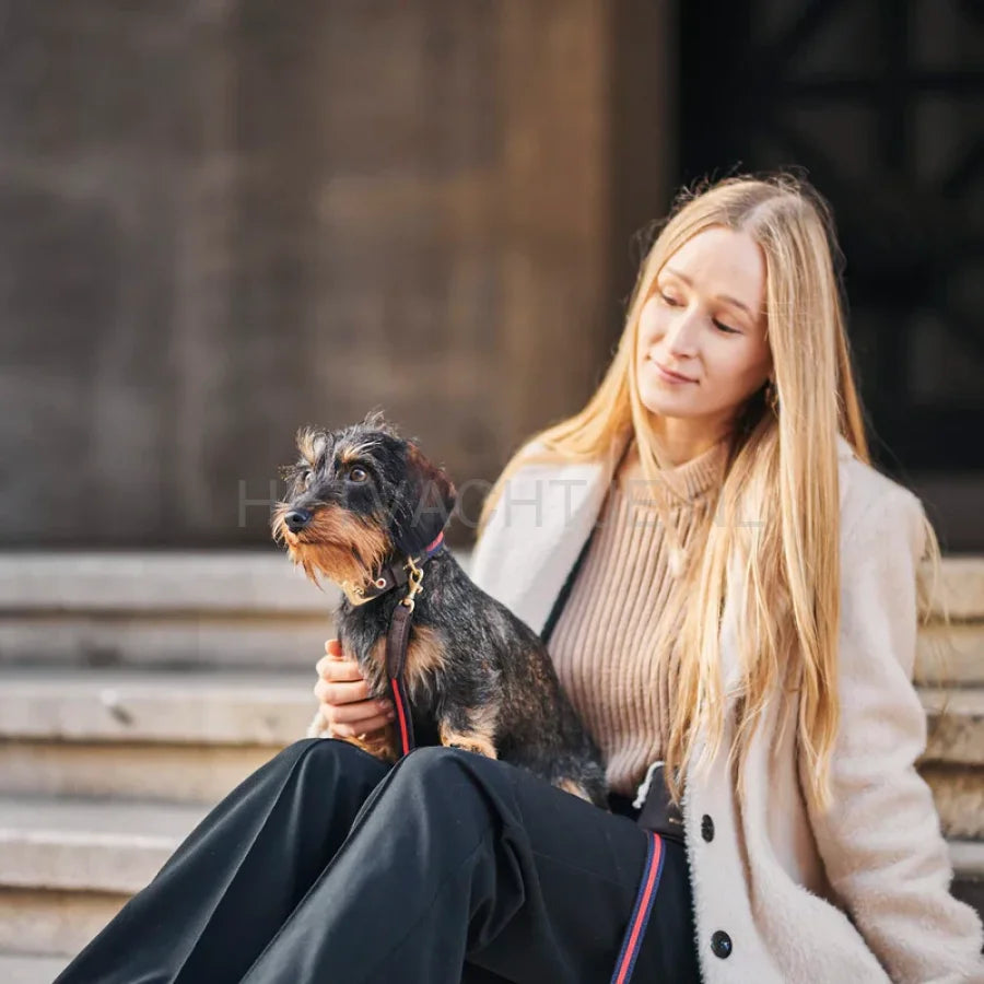 William Walker - Hoogwaardige leren hondenriem Charles // Limited