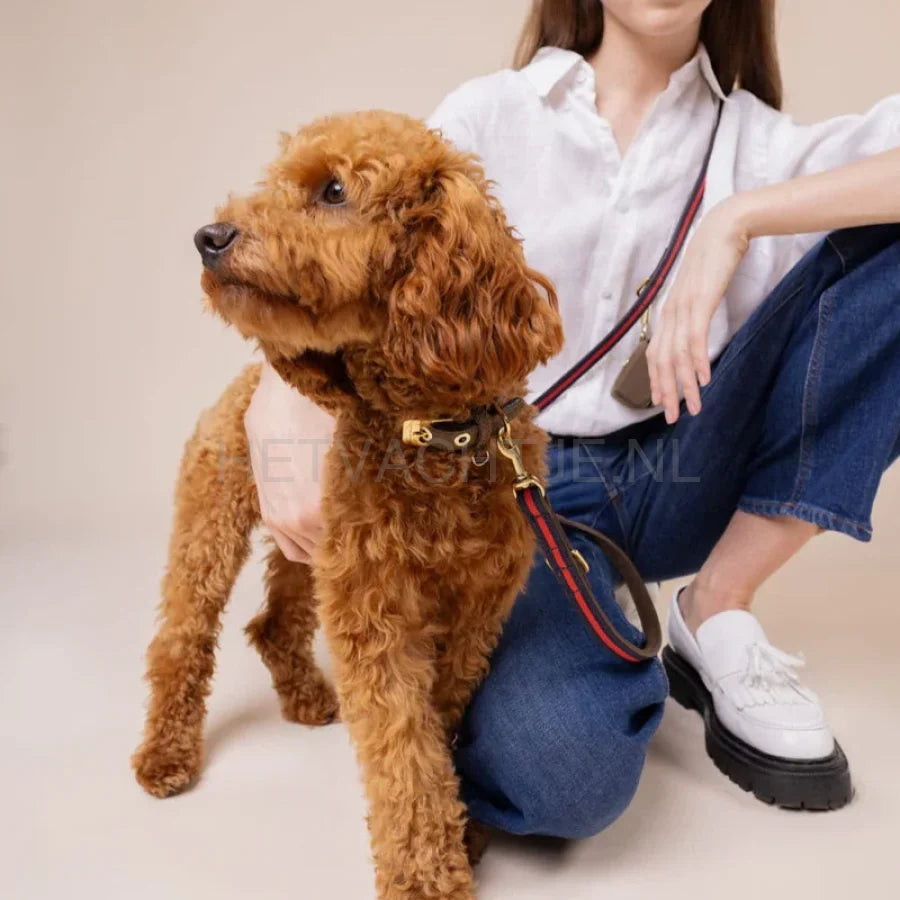 William Walker - Hoogwaardige leren hondenriem Charles // Limited