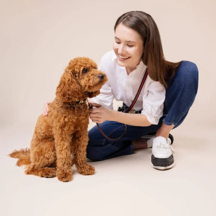 William Walker - Hoogwaardige leren hondenriem Charles // Limited