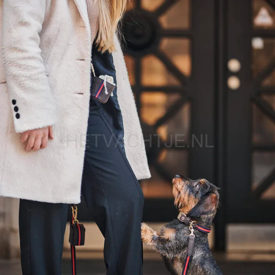 William Walker - Hoogwaardige leren hondenriem Charles // Limited