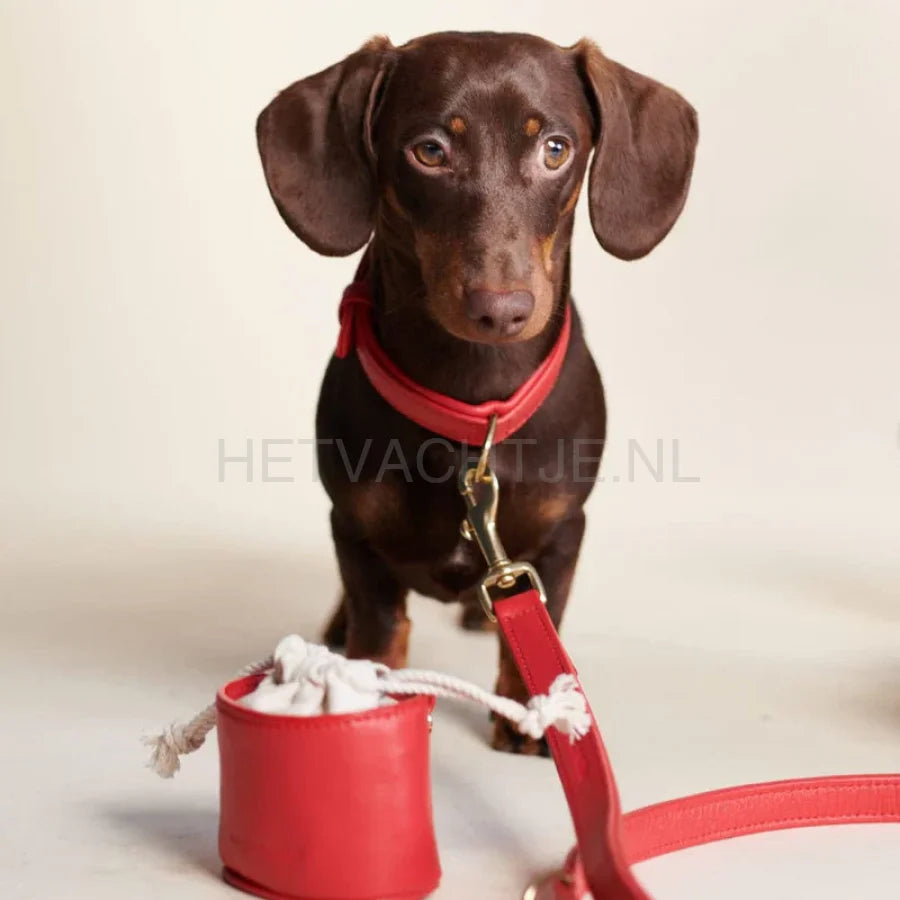 William Walker - Hoogwaardige leren hondenriem Chilli