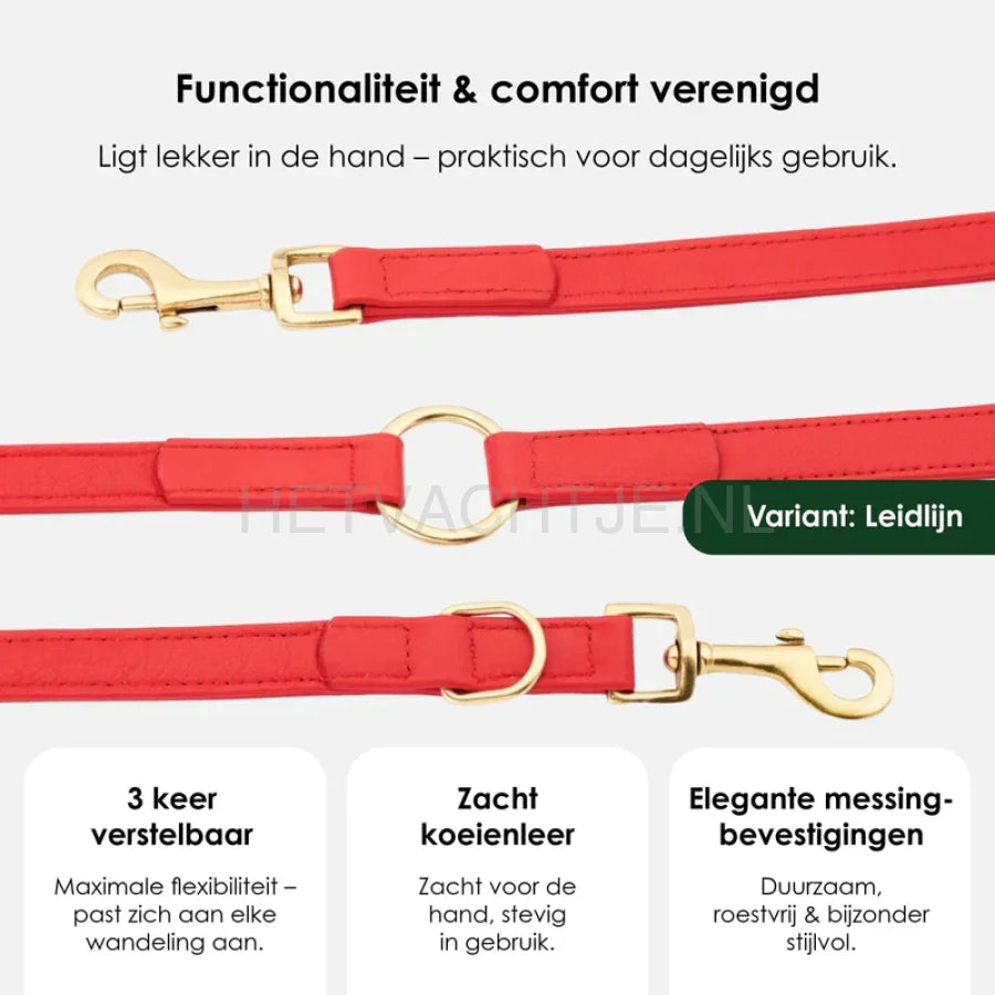 William Walker - Hoogwaardige leren hondenriem Chilli