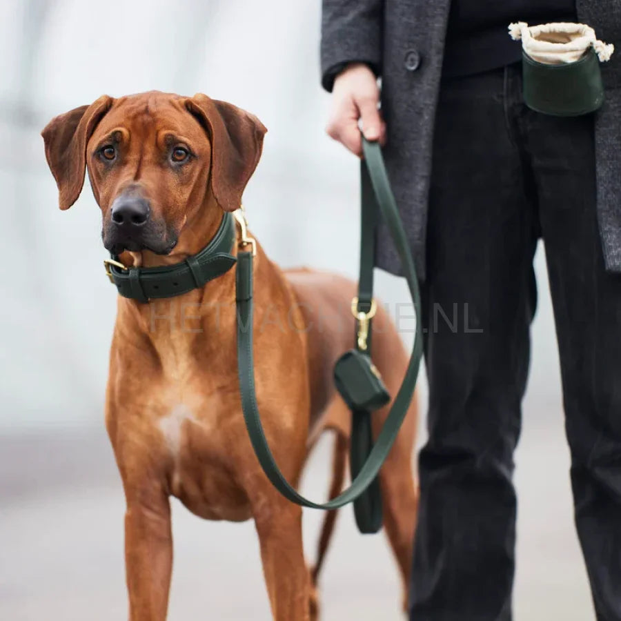 William Walker - Hoogwaardige leren hondenriem Dark Moss