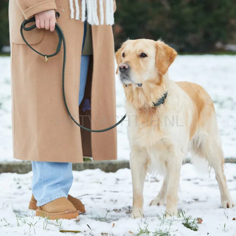 William Walker - Hoogwaardige leren hondenriem Dark Moss