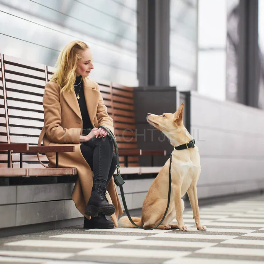 William Walker - Hoogwaardige leren hondenriem Dark Moss