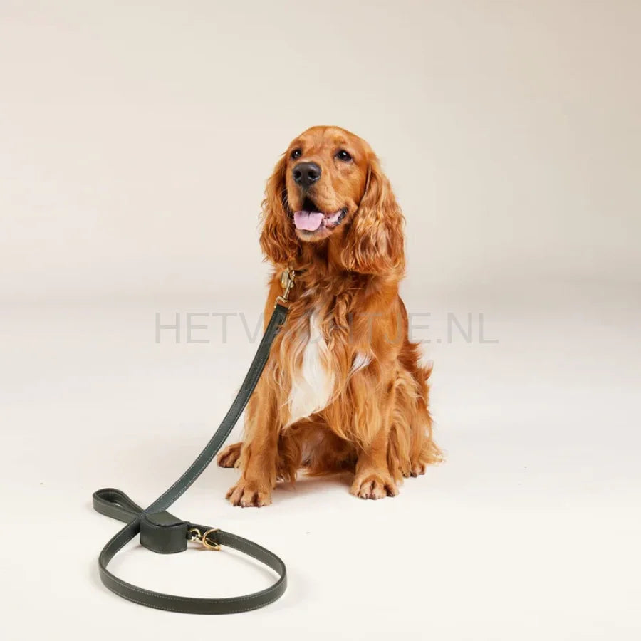 William Walker - Hoogwaardige leren hondenriem Dark Moss