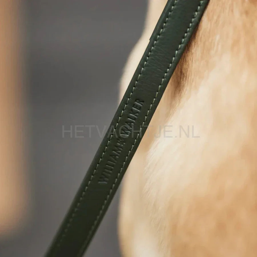 William Walker - Hoogwaardige leren hondenriem Dark Moss