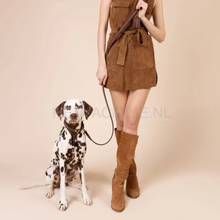 William Walker - Hoogwaardige leren hondenriem Florence // Limited