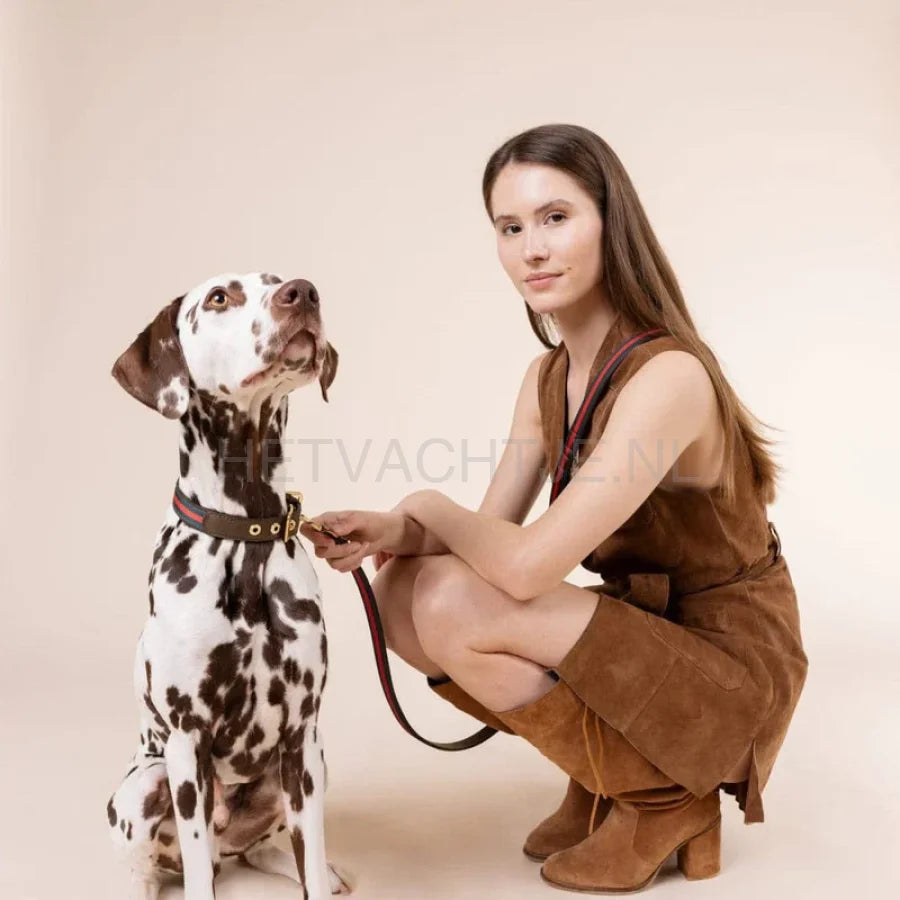 William Walker - Hoogwaardige leren hondenriem Florence // Limited