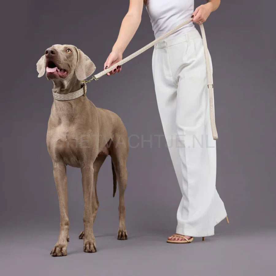 William Walker - Hoogwaardige leren hondenriem Prestige Almond