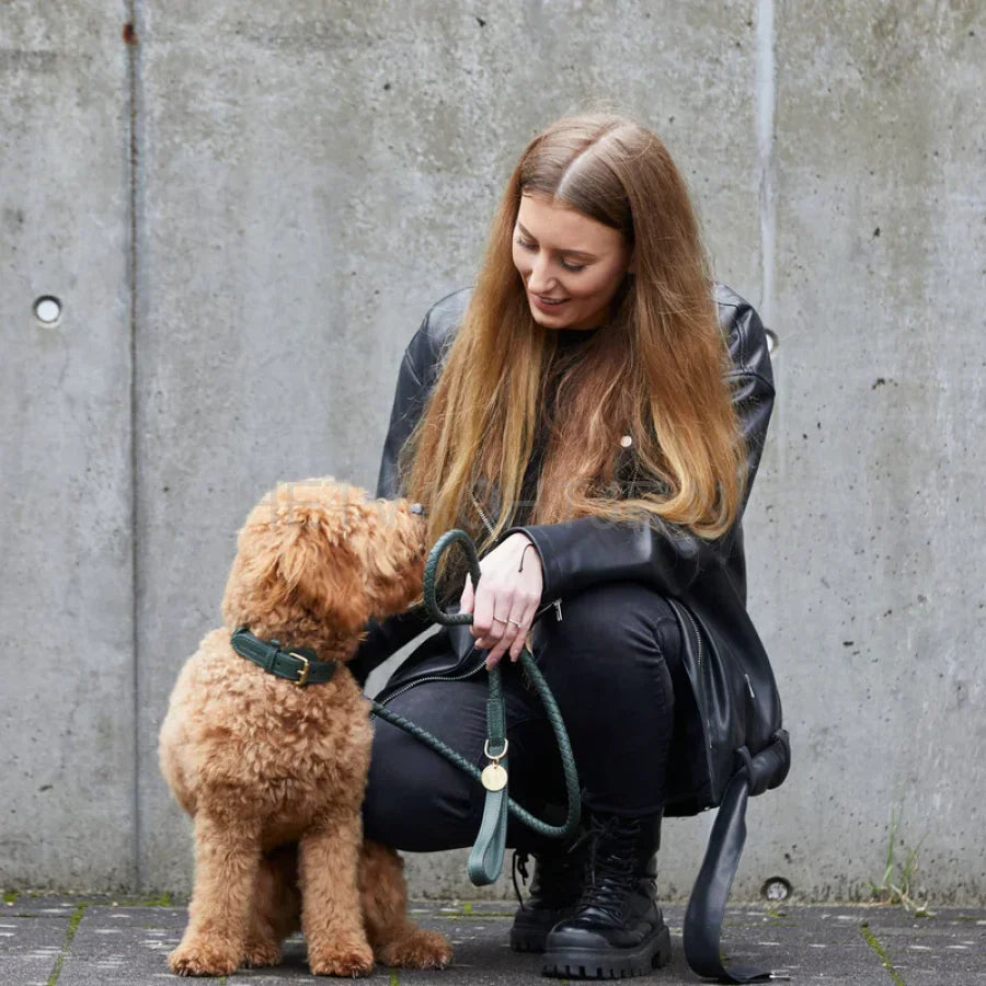 William Walker - Hoogwaardige leren hondenriem Twisted Dark Moss