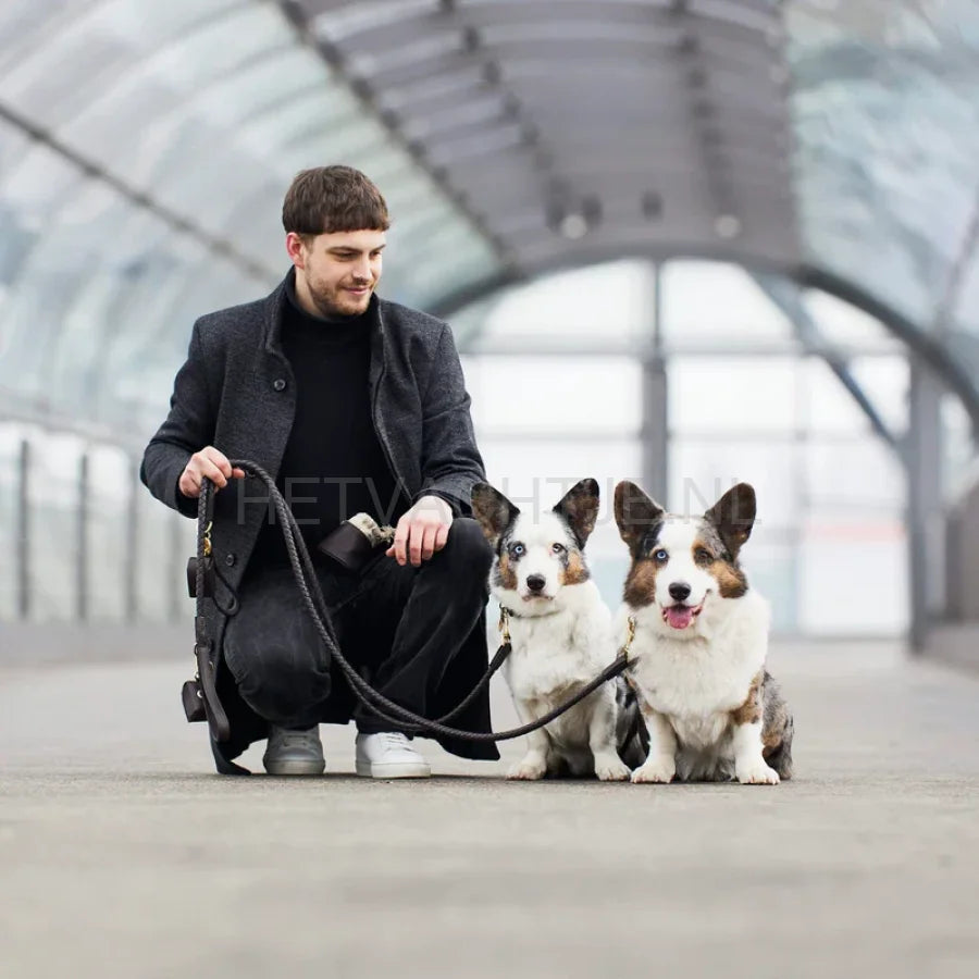 William Walker - Hoogwaardige leren hondenriem Twisted Earth