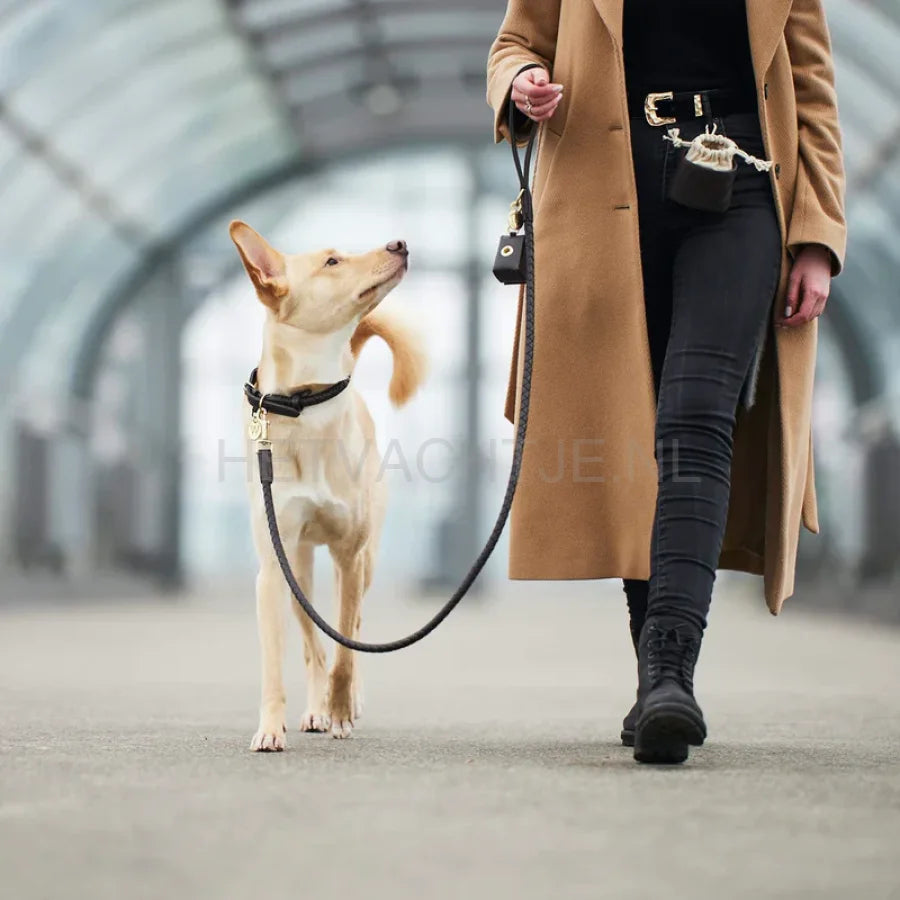 William Walker - Hoogwaardige leren hondenriem Twisted Earth