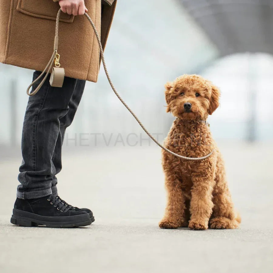 William Walker - Hoogwaardige leren hondenriem Twisted Sand