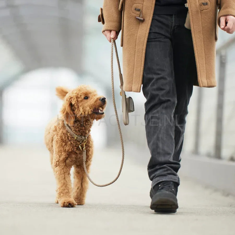 William Walker - Hoogwaardige leren hondenriem Twisted Sand