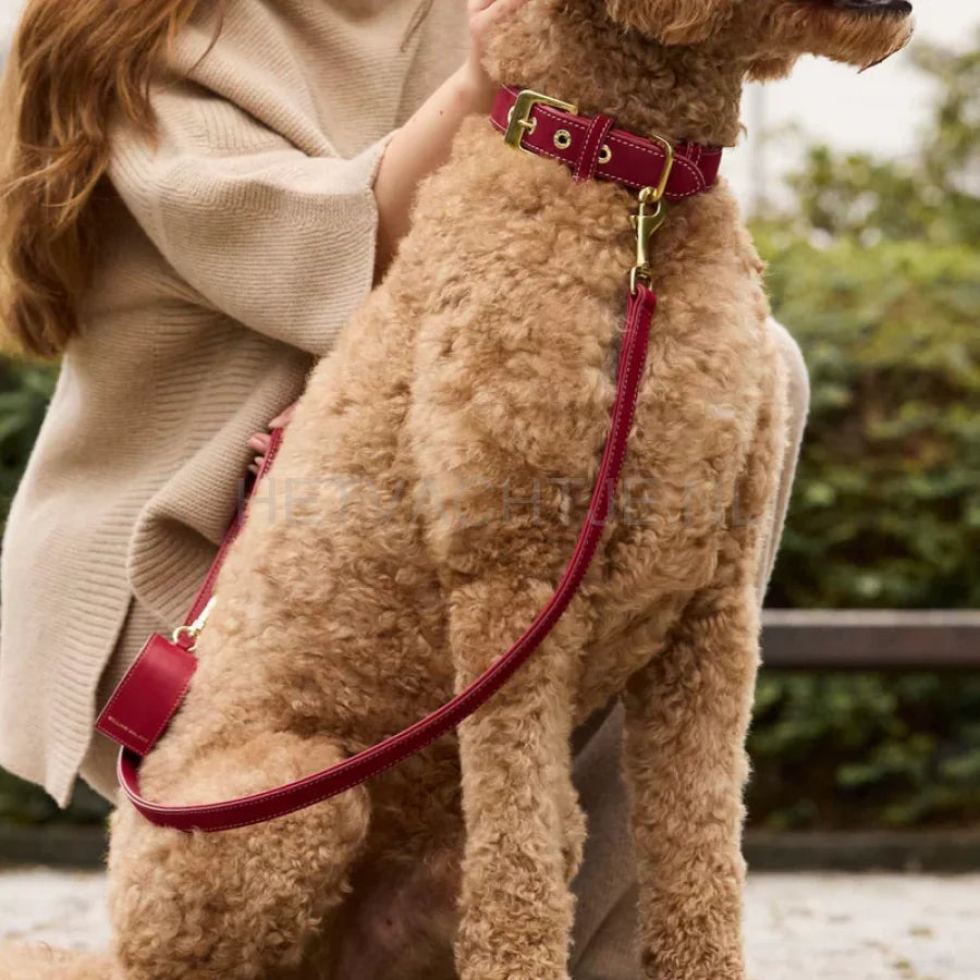 William Walker - Hoogwaardige suède hondenriem Lambrusco