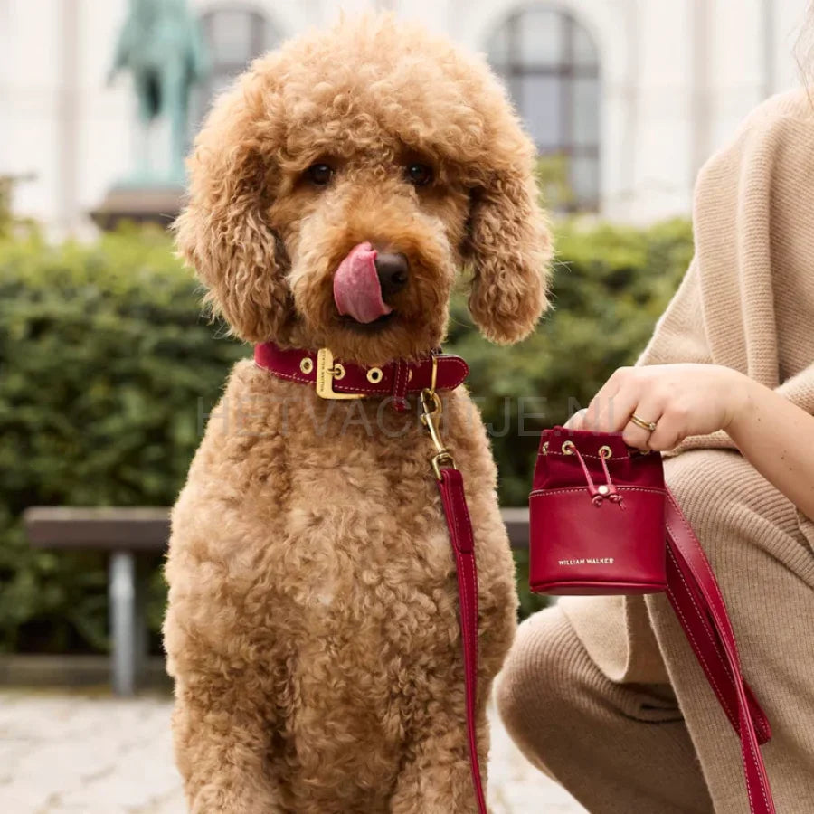 William Walker - Hoogwaardige suède hondenriem Lambrusco