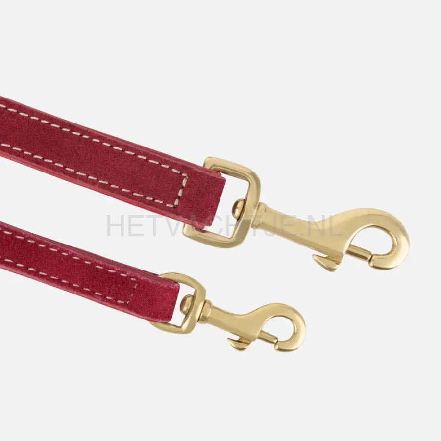 William Walker - Hoogwaardige suède hondenriem Lambrusco